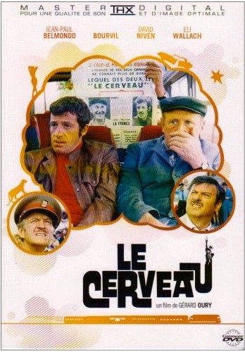 DVD Le cerveau