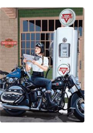 Plaque Harley-Davidson