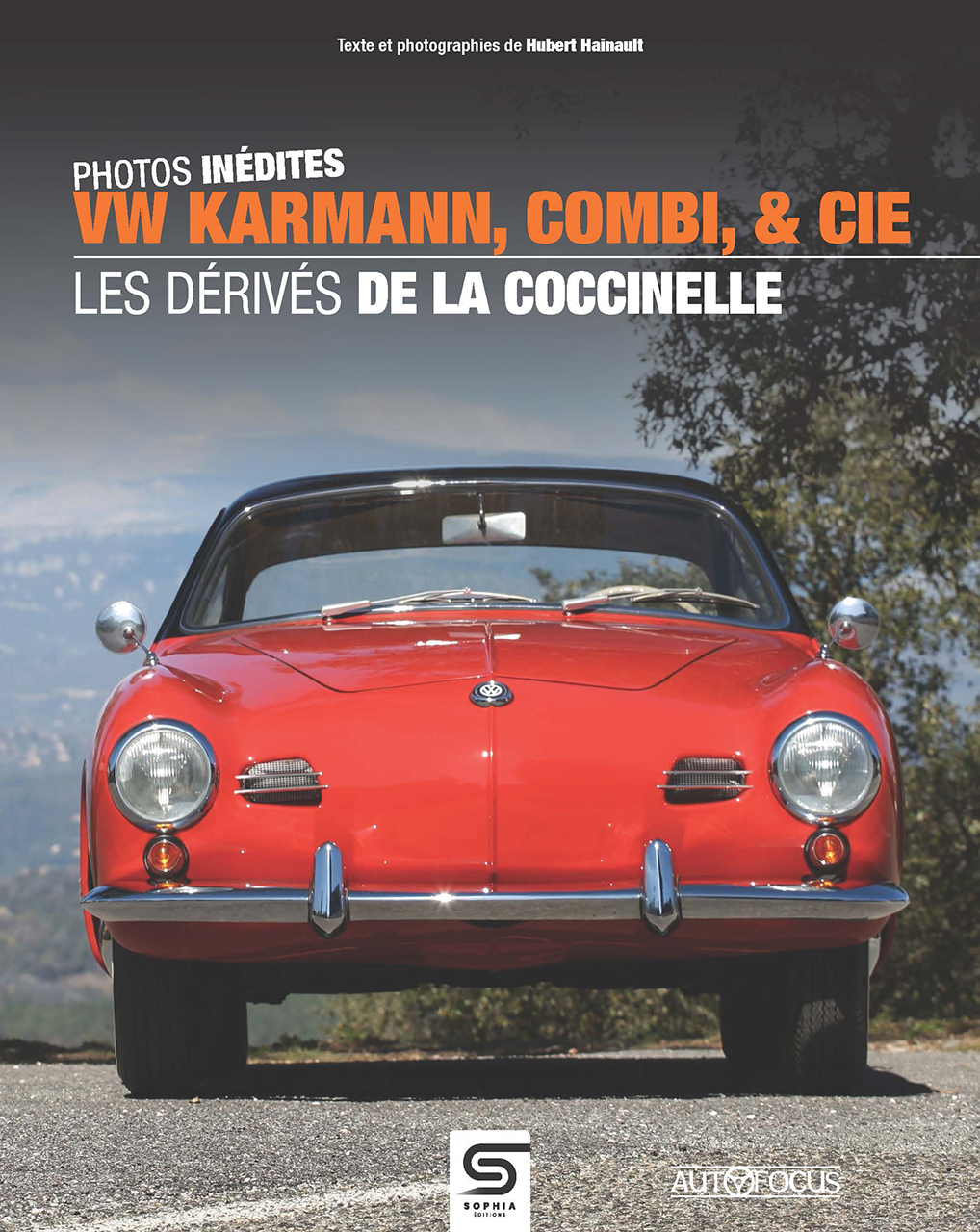 Volkswagen les derives de la coccinelle